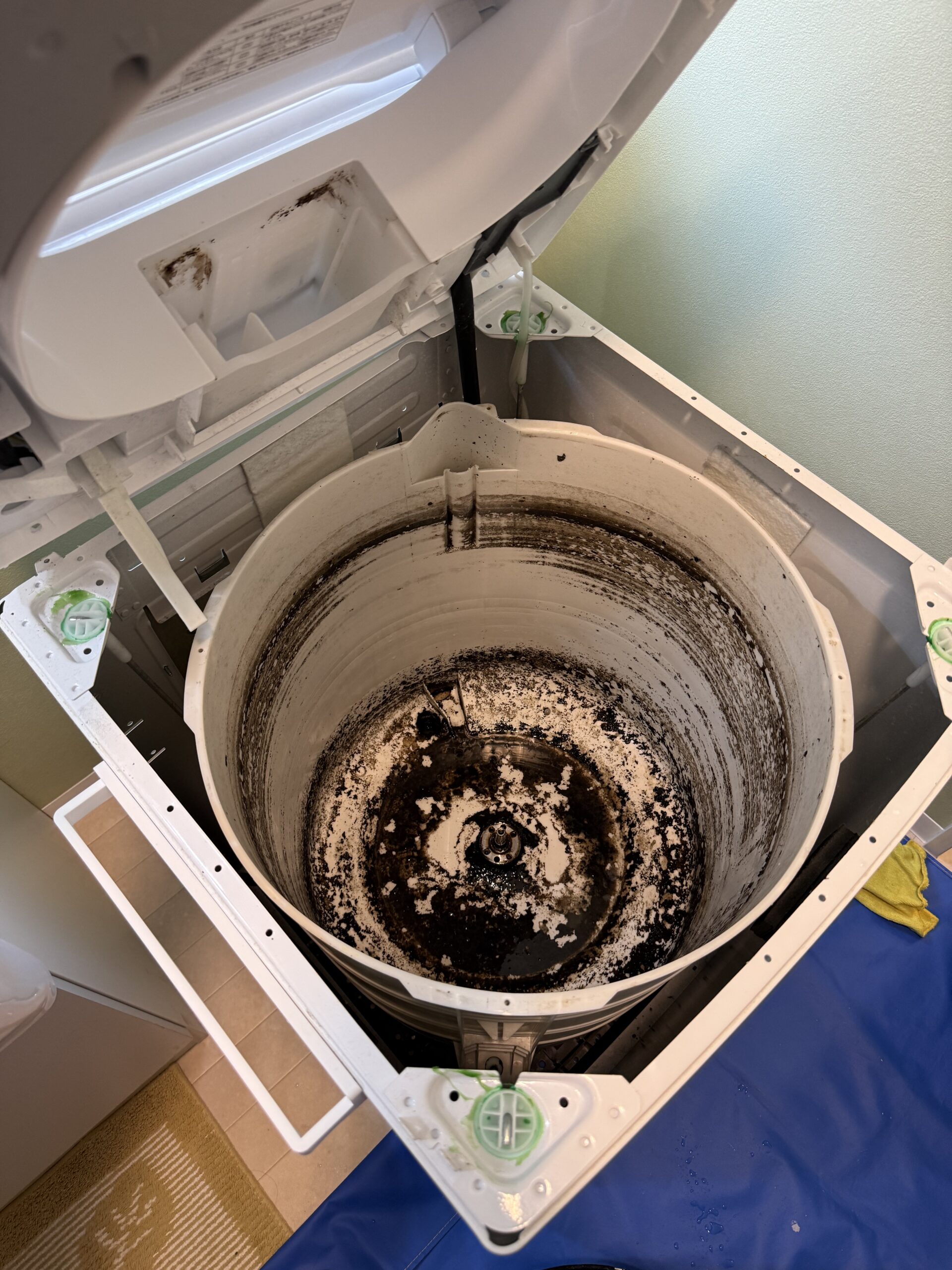 クリーニング前の汚れた洗濯槽