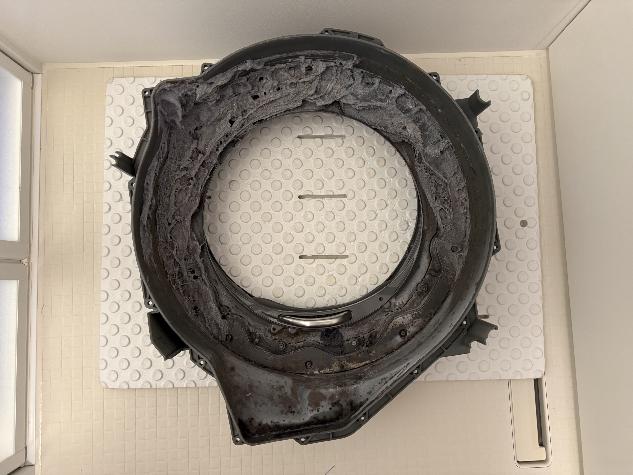 ドラム式洗濯機内部ビフォー写真