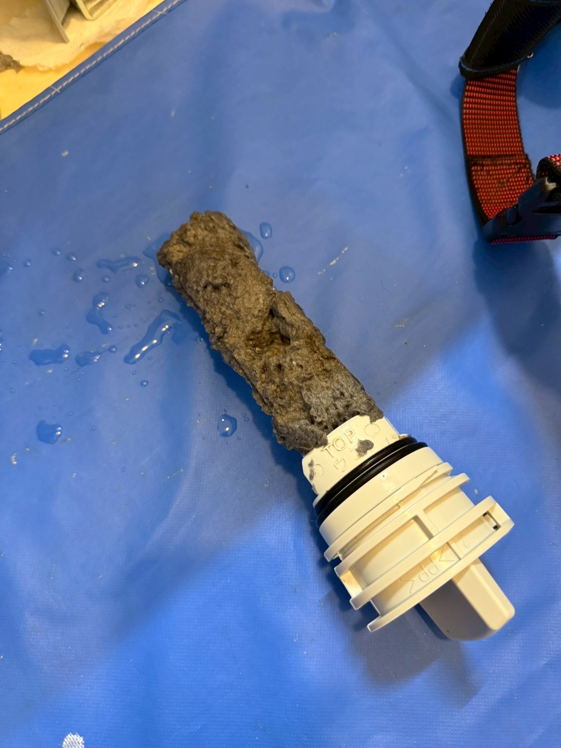 日立ビッグドラム 排水フィルターに詰まった糸くずとヘドロ