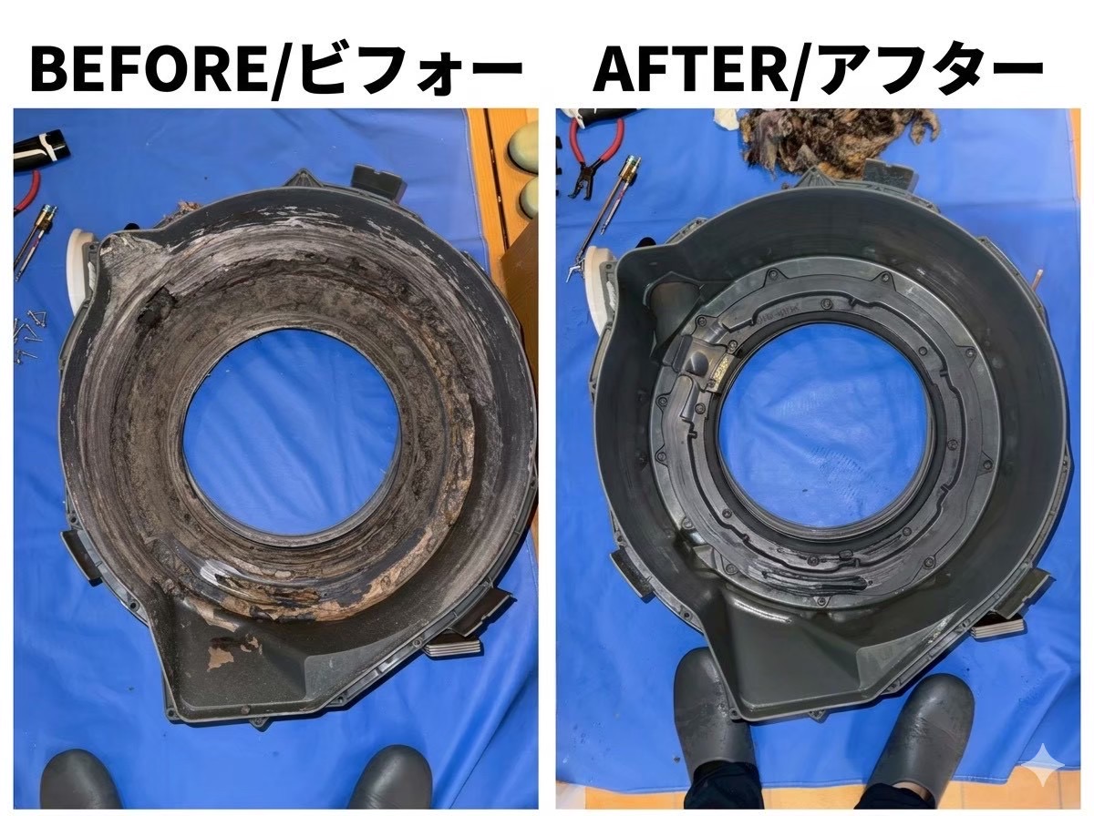 ドラム式洗濯機 脱水受けカバー クリーニング ビフォーアフター