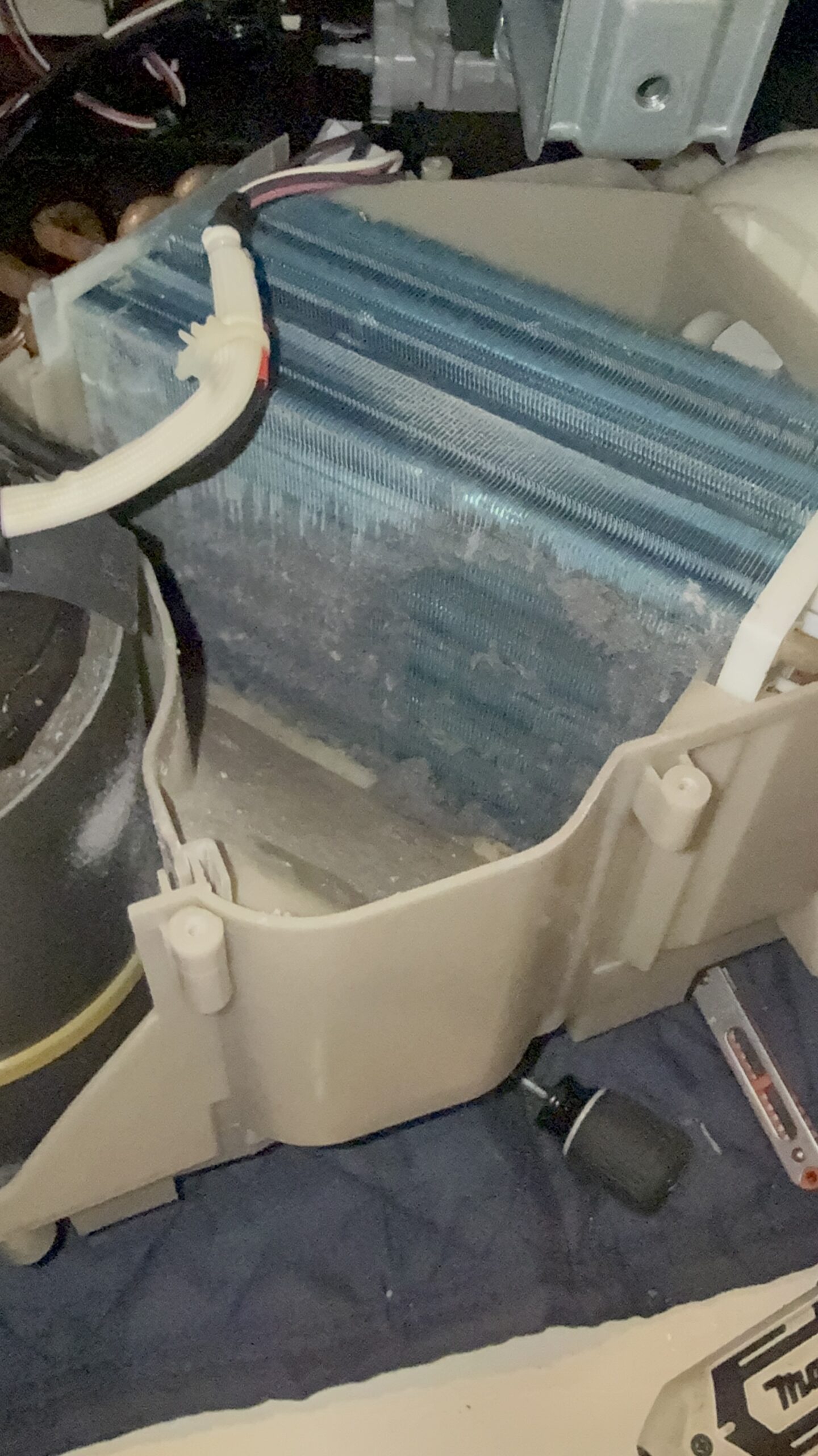東芝ドラム式洗濯機 ヒートポンプ クリーニング前