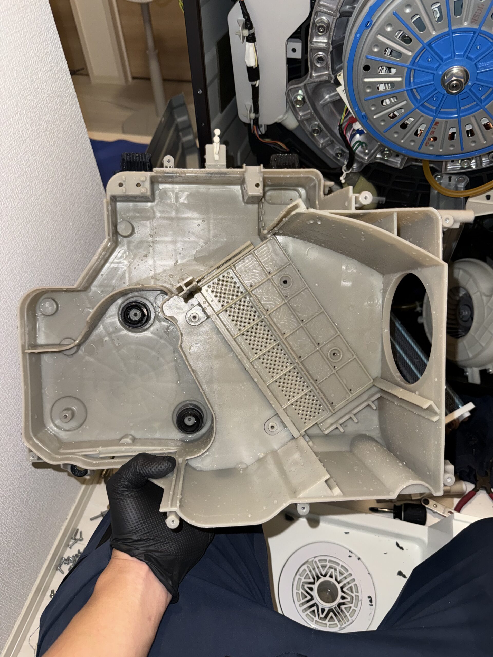 東芝ドラム式洗濯機 ヒートポンプユニット格納部 クリーニング後