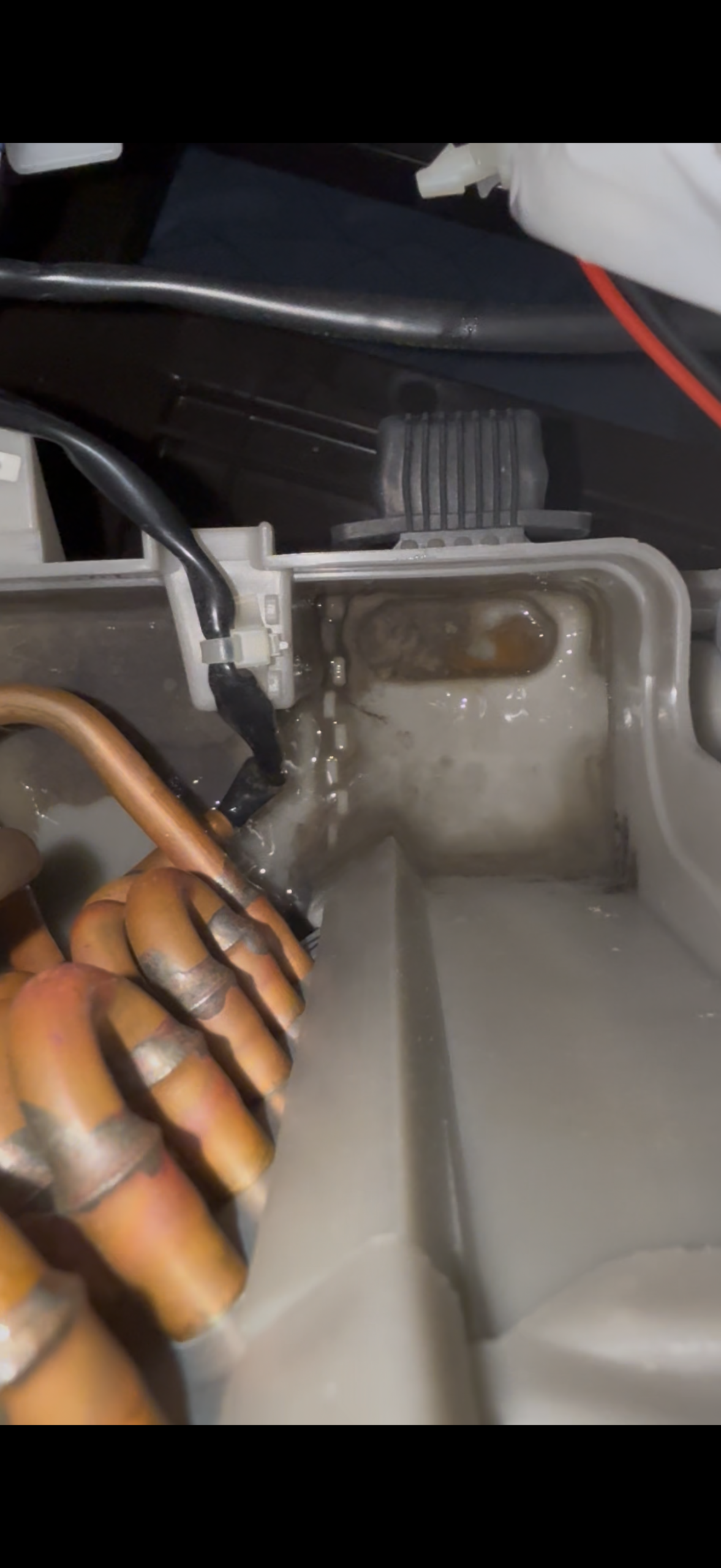 東芝ドラム式洗濯機 ヒートポンプユニット排水付近に溜まるヘドロ